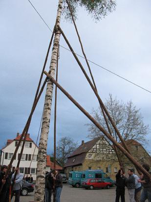 Maibaum 242.jpg